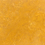 Dark Yellow